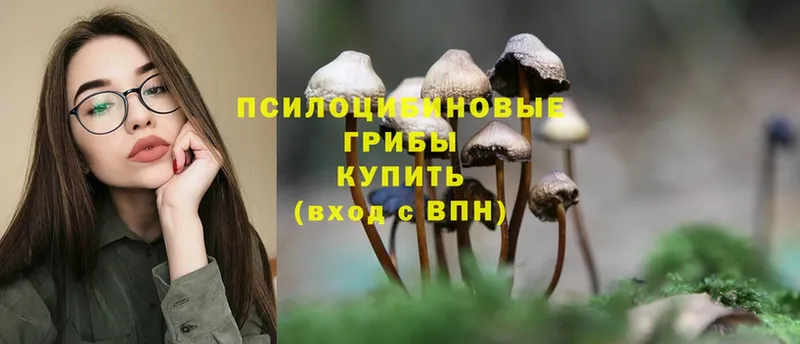 Галлюциногенные грибы Magic Shrooms  Мензелинск 